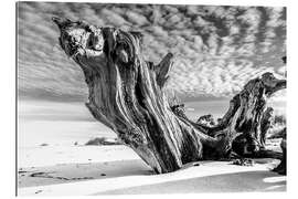 Gallery print Old tree root on the beach (monochrome)