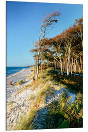 Magnettafel Tag am Meer - Weststrand auf dem Darß