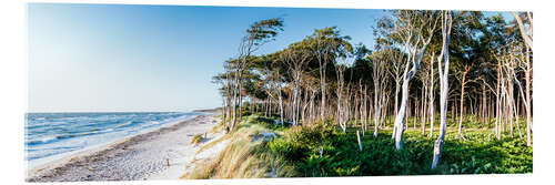 Cuadro de metacrilato Beach and Forest at the Baltic Sea