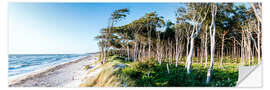 Selvklebende plakat Beach and Forest at the Baltic Sea