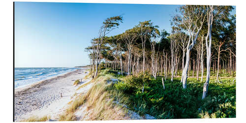 Cuadro de aluminio Weststrand Panorama II