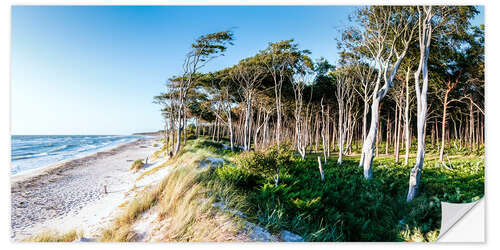 Sticker mural Weststrand Panorama II