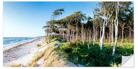 Selvklebende plakat Weststrand Panorama II