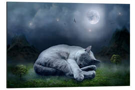 Aluminium print Cat dreams at full moon