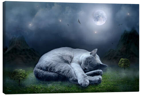 Tableau sur toile Le rêve du chat à la pleine lune