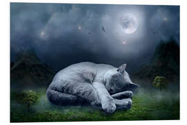 Foam board print Cat dreams at full moon