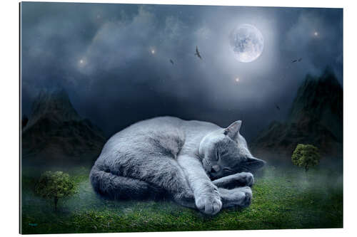 Galleriprint Cat dreams at full moon