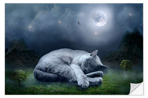 Sisustustarra Cat dreams at full moon