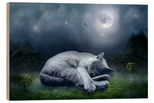 Trebilde Cat dreams at full moon