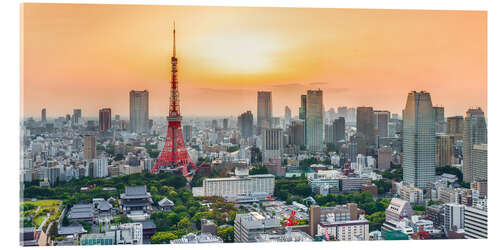 Stampa su vetro acrilico Tokyo skyline at sunset