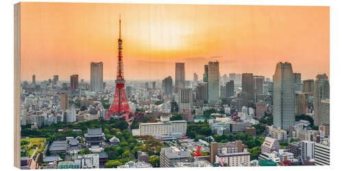 Obraz na drewnie Tokyo skyline at sunset