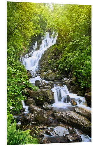 PVC-tavla Torc Waterfall 