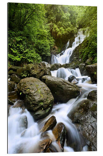 Gallery print Torc Waterfall