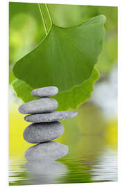 Foam board print Wellness, gingko and stones