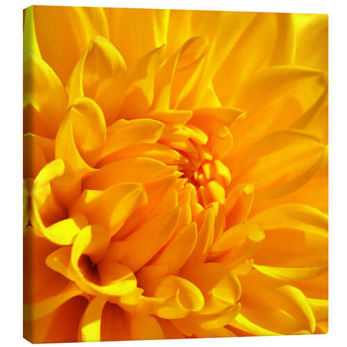 Canvas print yellow