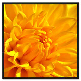 Gerahmter Kunstdruck Gelb