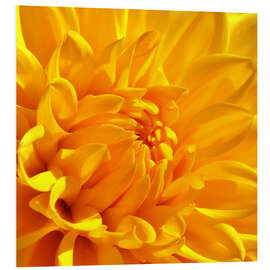 Tableau en PVC Fleur jaune