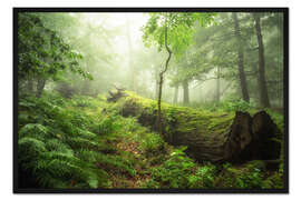 Gerahmter Kunstdruck Waldzauber