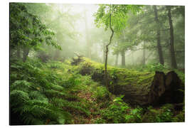 Magnettafel Waldzauber