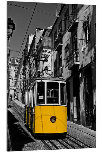 Aluminium print Elevador da Bica