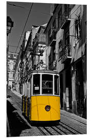 Quadro em PVC Elevador da Bica