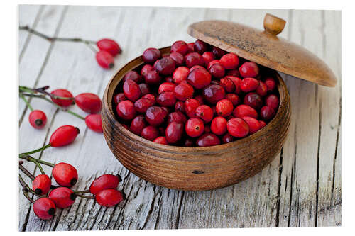 PVC-tavla Cranberries