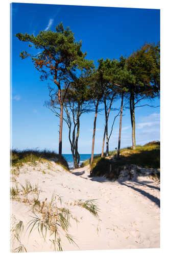 Acrylglasbild Darß - am Weststrand