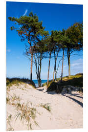 PVC print Baltic sea - Wstern beach close to Ahrenshoop