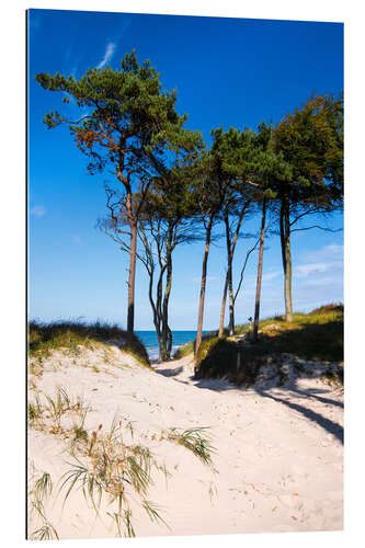 Gallery print Baltic sea - Wstern beach close to Ahrenshoop