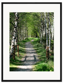 Gerahmter Kunstdruck Wege und Pfade