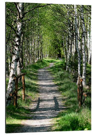 Magnettafel Wege und Pfade