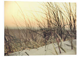 PVC-taulu Moody Beach | 01
