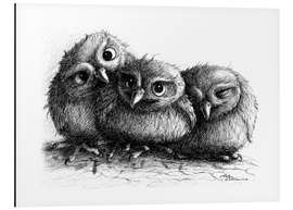 Aluminiumtavla Three young owls - owlets