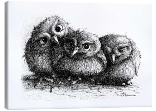 Canvas-taulu Three young owls - owlets