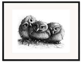 Gerahmter Kunstdruck Drei junge Eulen