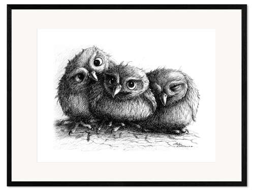 Framed art print Three young owls - owlets