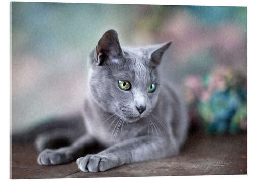 Akrylbilde russian blue