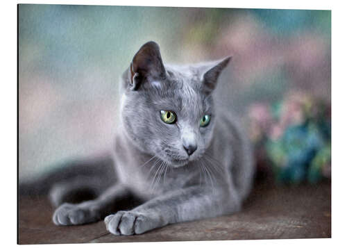 Aluminium print russian blue