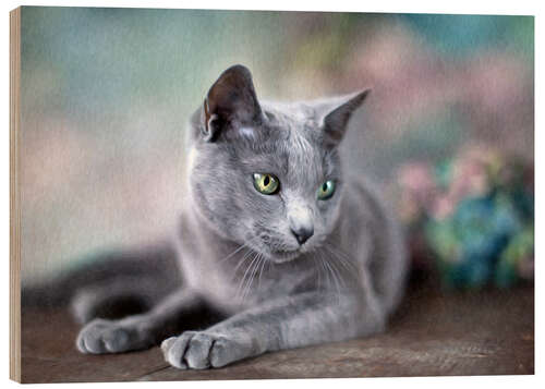 Wood print russian blue