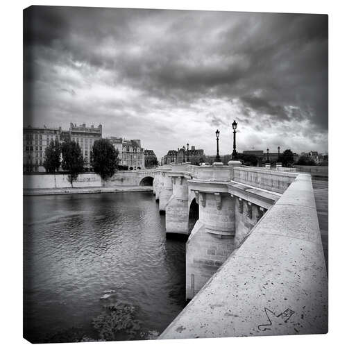 Canvas print Pont Neuf PARIS