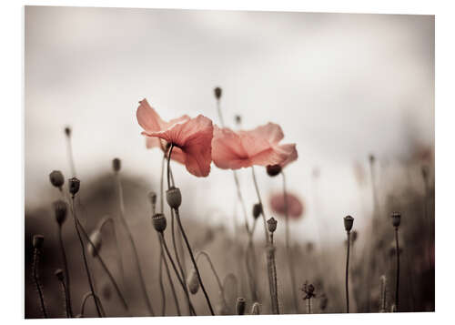 Hartschaumbild Mohnblumen I