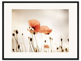 Gerahmter Kunstdruck Roter Mohntraum
