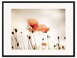 Impressão artística com moldura Red Poppy Dream