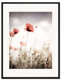 Gerahmter Kunstdruck Mohn in Pastell getaucht