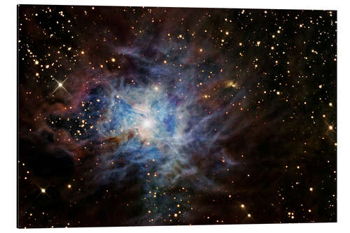 Aluminium print The Iris Nebula