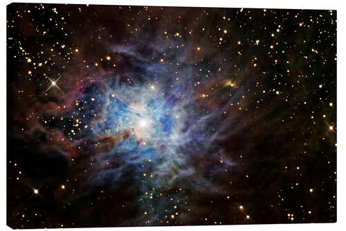 Canvas print The Iris Nebula