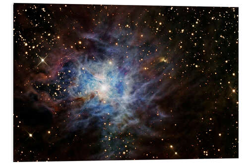 Foam board print The Iris Nebula