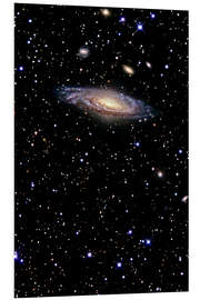 PVC-taulu Spiral galaxy in the constellation Pegasus