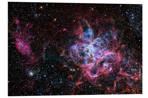 Foam board print The Tarantula Nebula