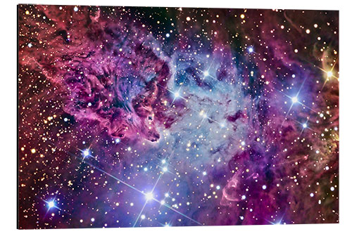 Aluminium print The Fox Fur Nebula